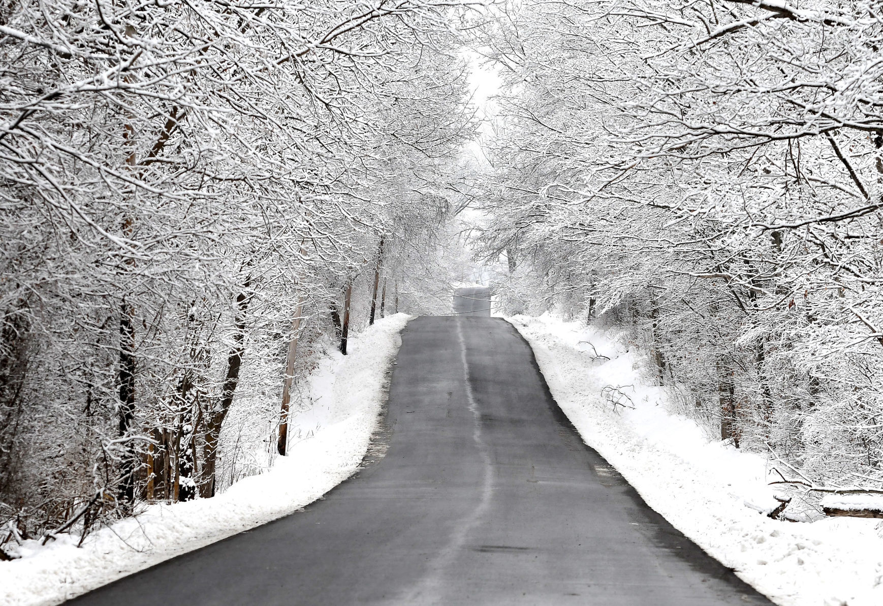 Frosted countryside 5